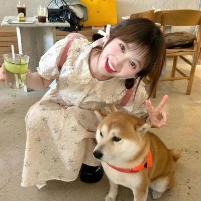 文豪野犬第一季